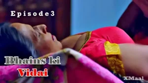 Bhains Ki Vidai Episode 3